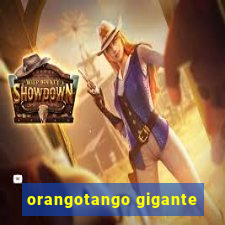 orangotango gigante